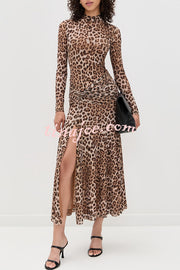 Revina Mesh Leopard Print Mock Neck Gathered Waist Long Sleeve Stretch Midi Dress