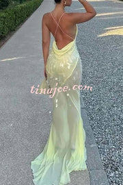 Perfect Night Sequin Embroidery Backless Drape Tulle Hem Slip Maxi Dress