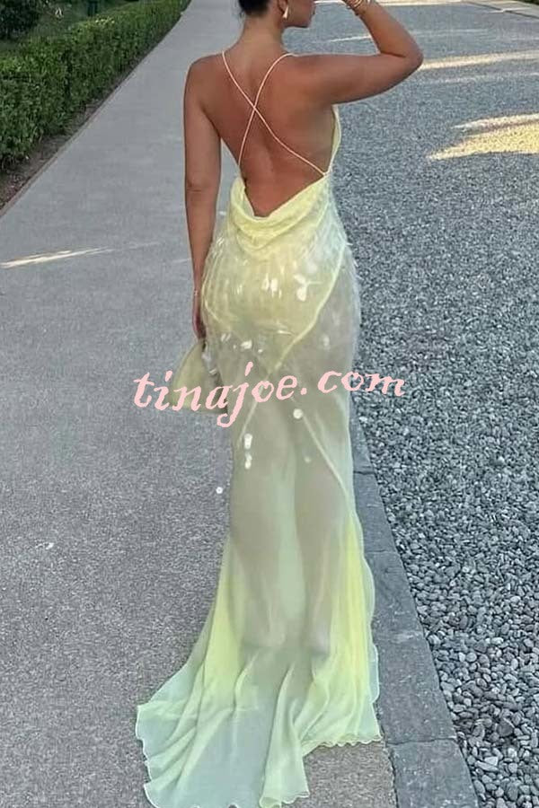 Perfect Night Sequin Embroidery Backless Drape Tulle Hem Slip Maxi Dress
