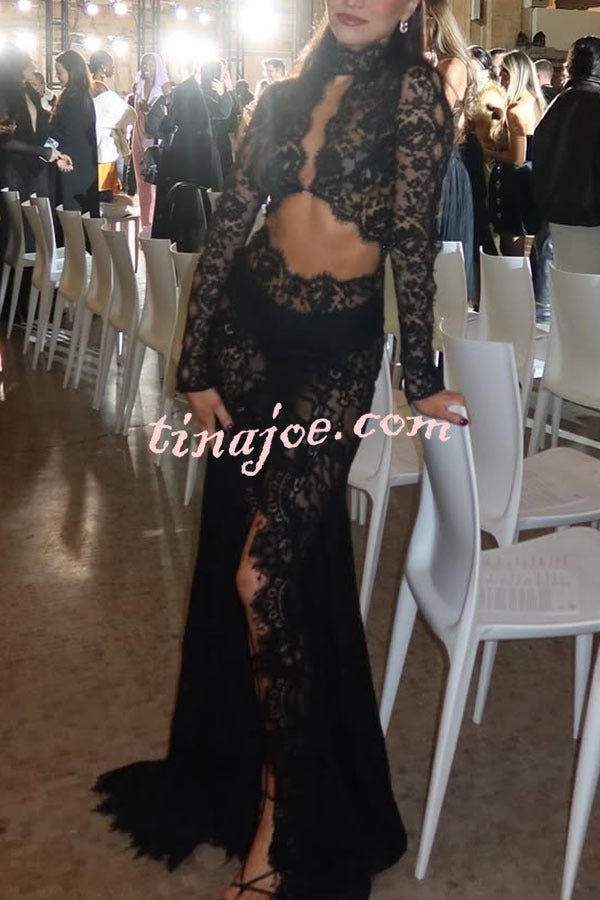 Dark Night Charm Sheer Lace Cutout Long Sleeve Stretch Maxi Dress