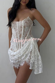 Amazing Lace Mesh Off Shoulder Slightly See Through Slim Fit Mini Dress