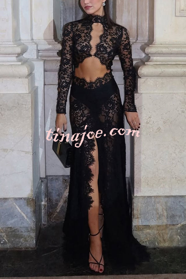 Dark Night Charm Sheer Lace Cutout Long Sleeve Stretch Maxi Dress