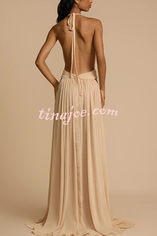 Ethereal Moment Tulle Cutout Ruched Waist Backless Halter Maxi Dress