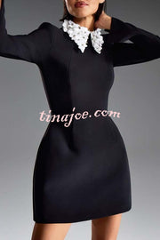 Alisha Contrast Floral Appliqué Pointed Collar Long Sleeve Pocketed Mini Dress