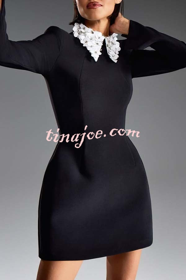 Alisha Contrast Floral Appliqué Pointed Collar Long Sleeve Pocketed Mini Dress