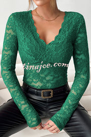 Solid Color Lace V-neck Long-sleeved Slim-fit Top