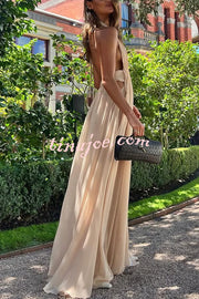 Ethereal Moment Tulle Cutout Ruched Waist Backless Halter Maxi Dress