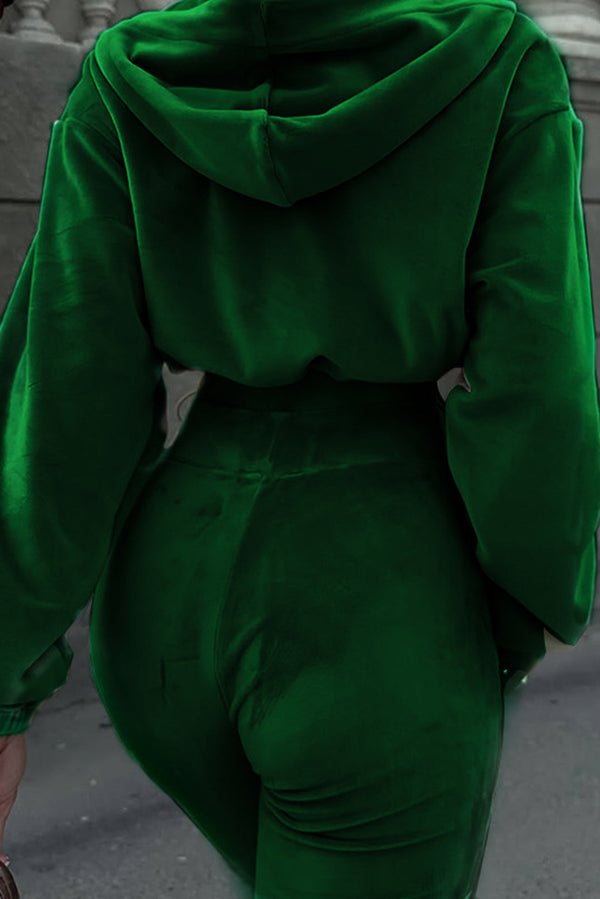 Solid Color Velvet Casual Hooded Zip-up Top and Elastic Waist Flared Pants Set