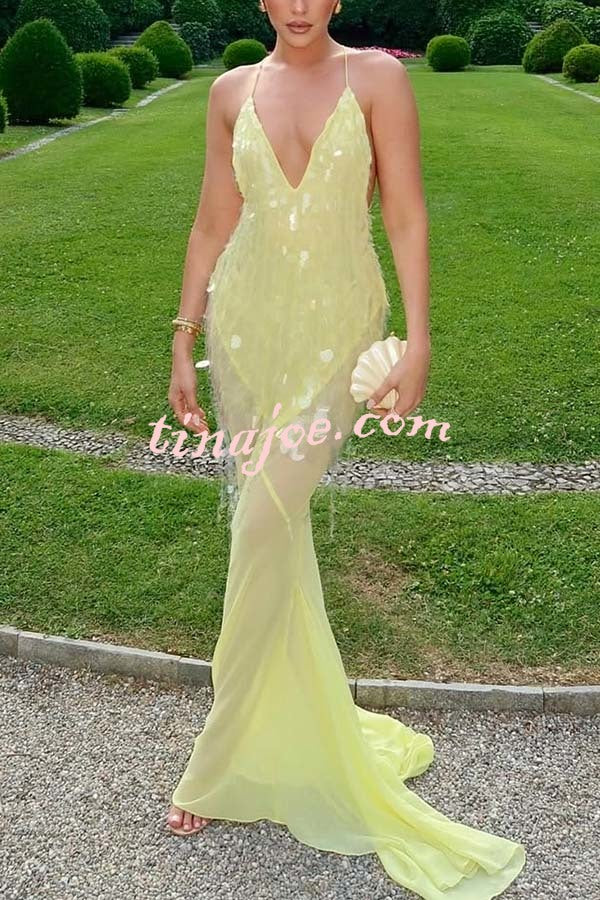 Perfect Night Sequin Embroidery Backless Drape Tulle Hem Slip Maxi Dress