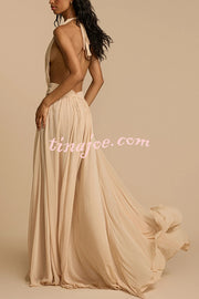 Ethereal Moment Tulle Cutout Ruched Waist Backless Halter Maxi Dress