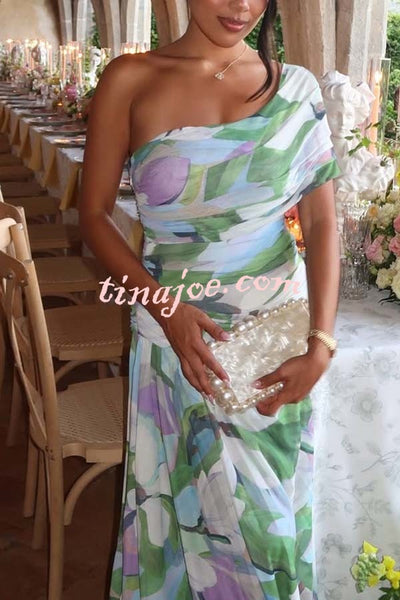Sunshine and Wine Mesh Floral Print Off Shoulder Ruched Stretch Maxi Dress