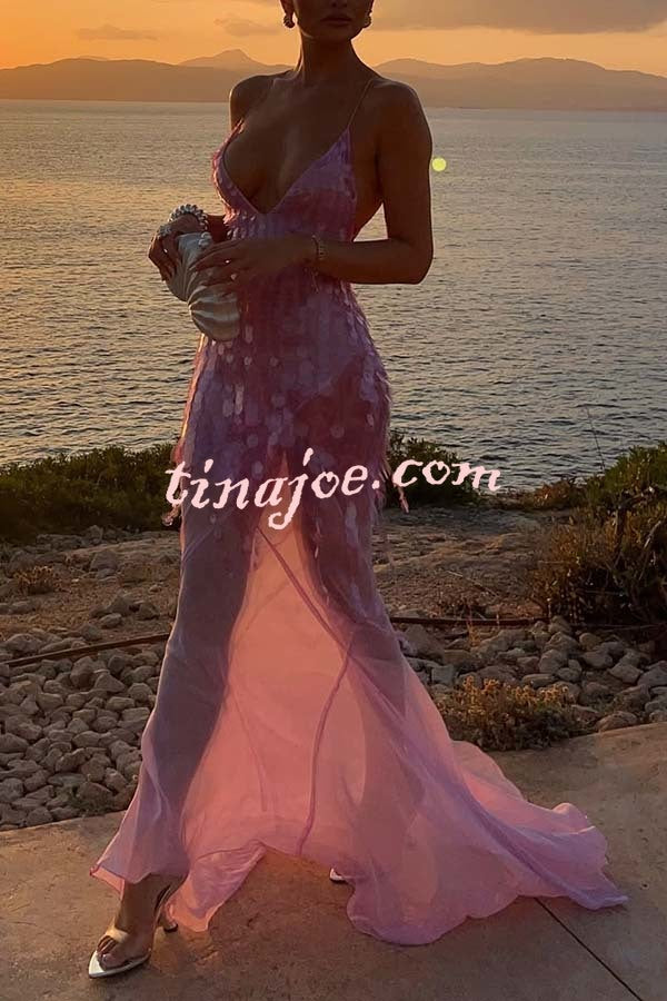 Perfect Night Sequin Embroidery Backless Drape Tulle Hem Slip Maxi Dress