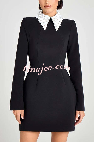 Alisha Contrast Floral Appliqué Pointed Collar Long Sleeve Pocketed Mini Dress