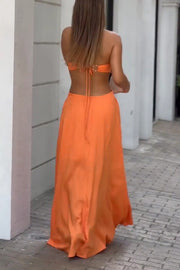 Sexy Halter Neck Backless Sleeveless Maxi Dress